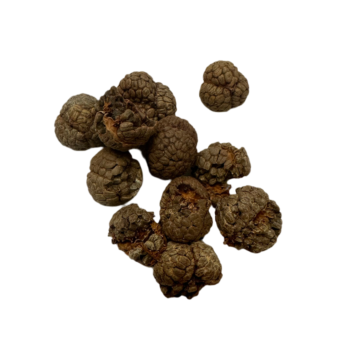 草豆蔻( Cao Dou Kou )Katsumade Galangal Seed