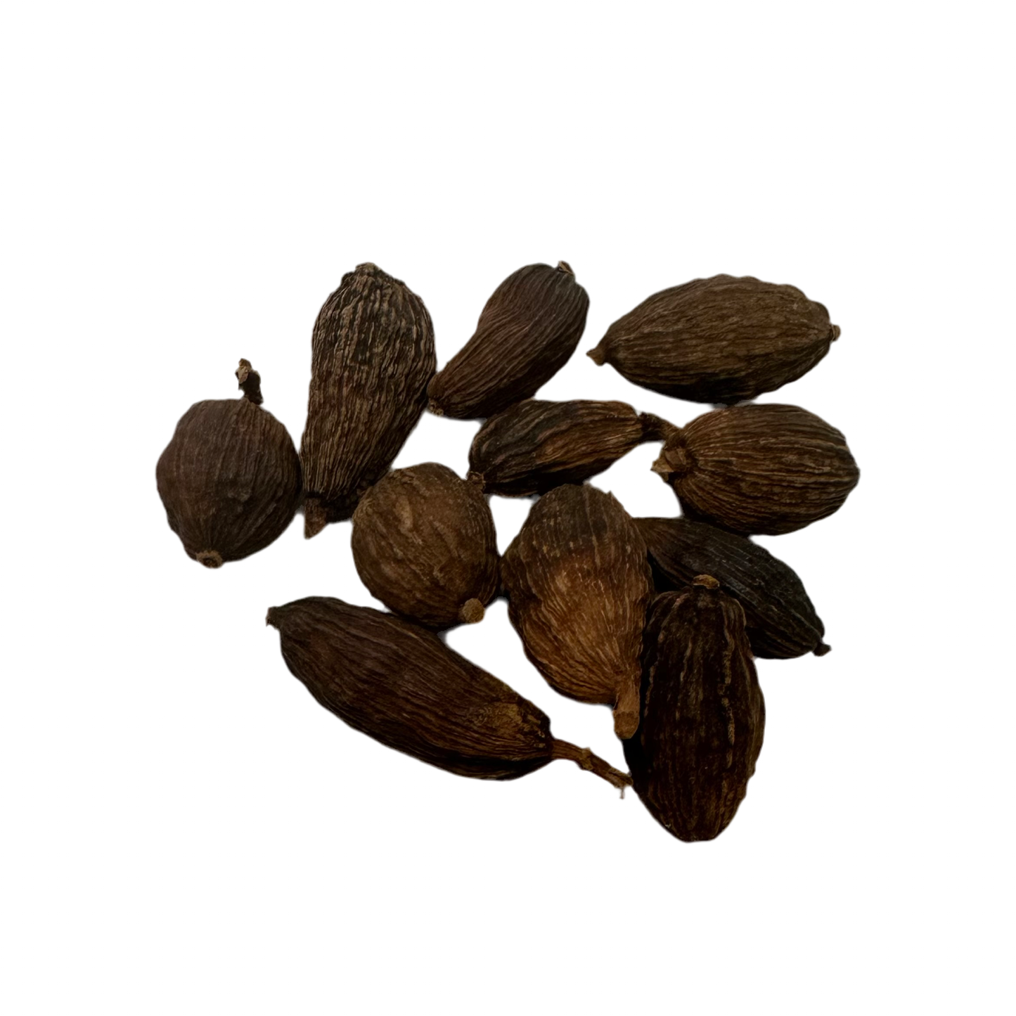 草果( Cao Guo )Tsaoko Amomum Fruit