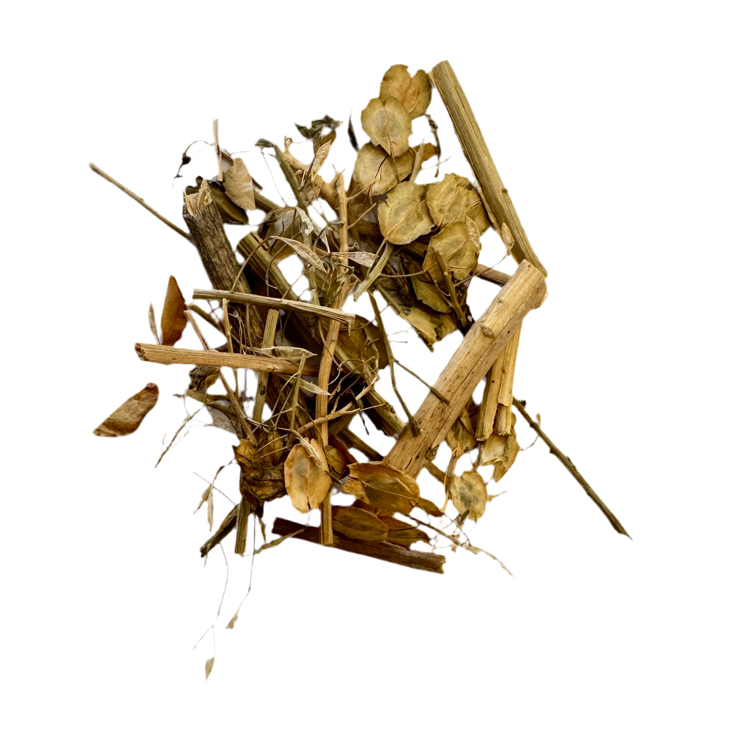 败酱草(Bai Jiang Cao) Whiteflower Patrinia Herb
