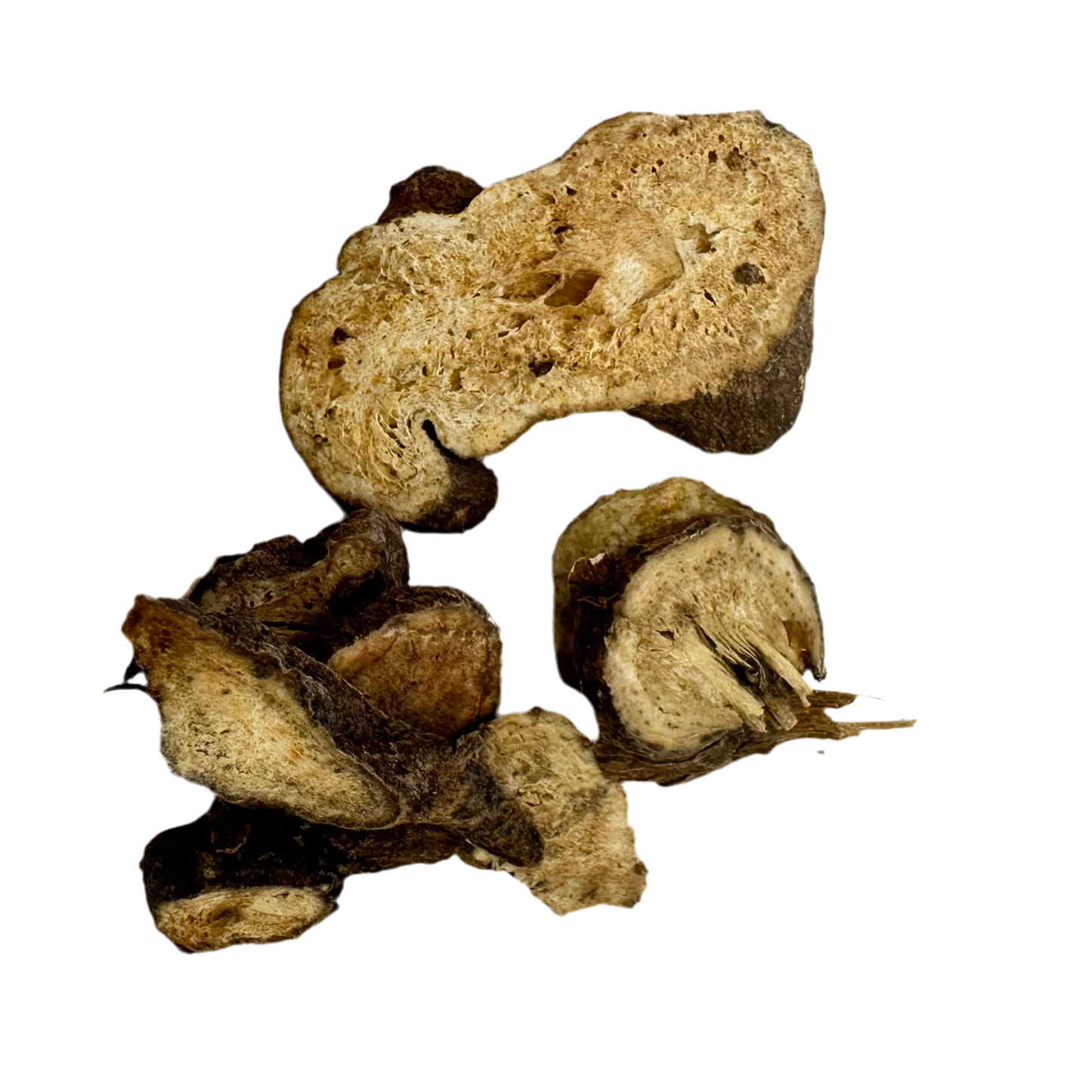 白术( Bai Zhu)White Atractylodes
