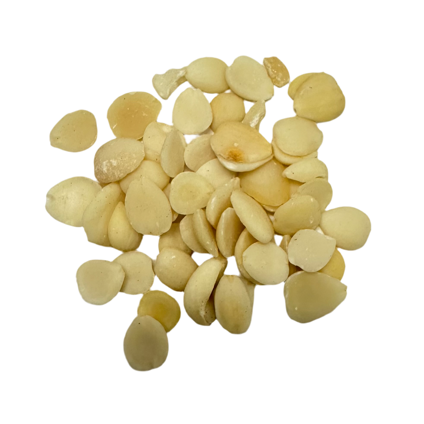 杏仁( Xing Ren) Bitter Apricot Kernel