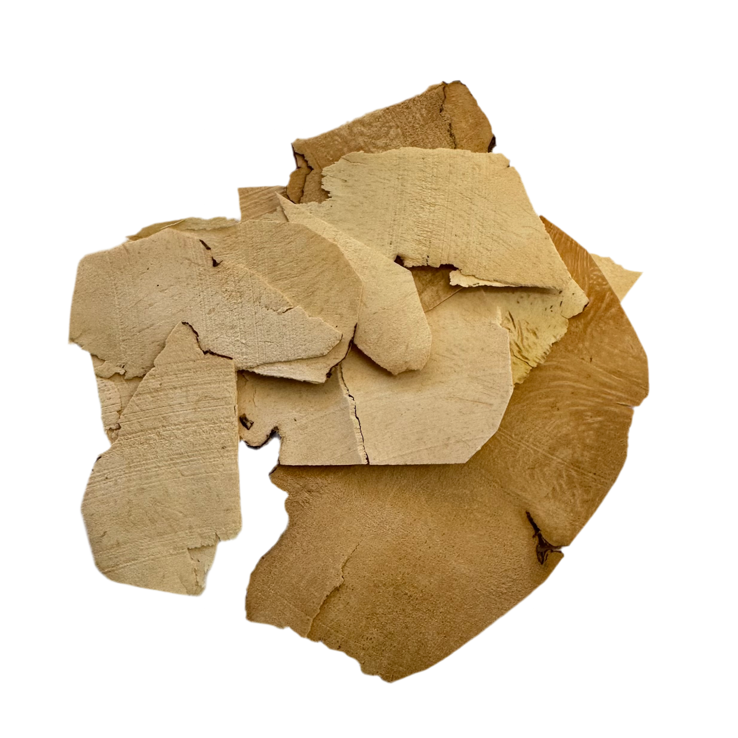 萆薢( Bi Xie) Long Yam Root