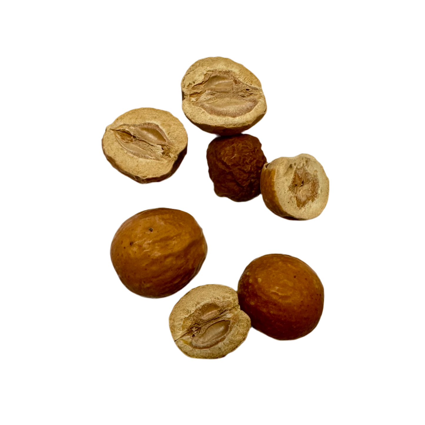 川楝子( Chuan Lian Zi ) Melia azedarach Fruit
