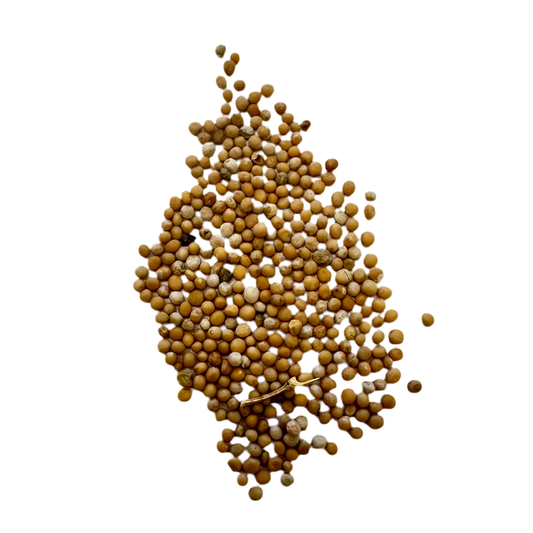 白介子（Bai Jie Zi）White Mustard