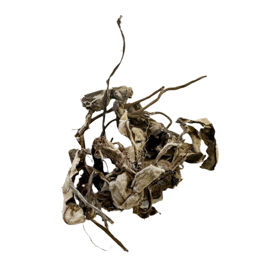 白薇草（Bai Wei Cao） Blackend Swallowwort Root